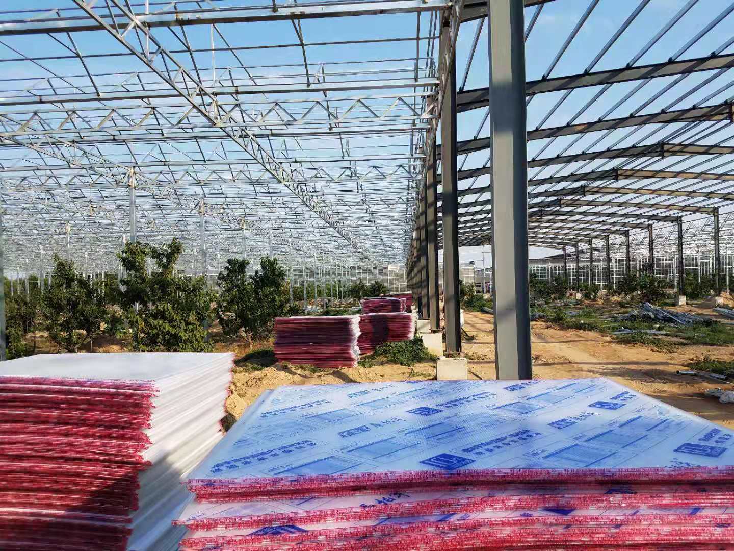 北京櫻桃園1-2號(hào)花卉大棚