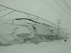 2018一場(chǎng)大雪，考驗(yàn)了多少個(gè)溫室大棚的質(zhì)量！